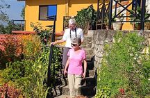 Nine Fort Resort: One-Night Stay & Zip Line Adventure