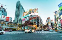 Tokyo Private Guided Tour with Hotel Pickup and Drop off