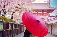 Tokyo Private Guided Tour with Hotel Pickup and Drop off