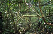 Cuc Phuong National Park Small Group Day Tour From Ninh Binh
