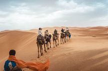 Morning Private Desert Safari with Dune Bashing and Sandboarding