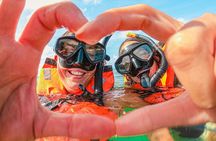 Private Turtles & Cenotes Adventure 