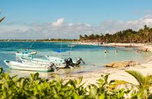 Private Turtles & Cenotes Adventure 