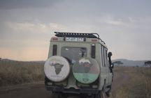 5 Days Tanzania Joining Safari with Pick Up Included Shared Tour