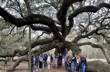 Tea Plantation and Winery Tour in Charleston
