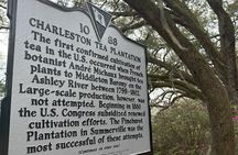 Tea Plantation and Winery Tour in Charleston