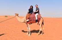 Dubai: Half-Day Desert Safari ,Camels & Sunset 