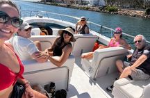 Boat Tour Experience Sea Life Up Close