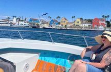 Boat Tour Experience Sea Life Up Close