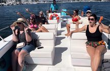 Boat Tour Experience Sea Life Up Close