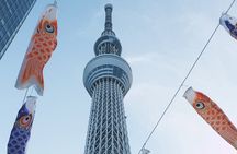 Tokyo Highlights Private Full Day City Tour With English Guide