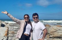 Cape Agulhas Southern Point of Africa Private Tour