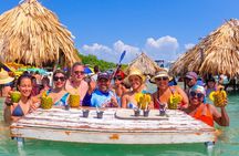 4 Rosario Islands Adventure with entrance to the oceanarium included