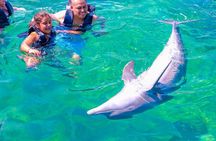 4 Rosario Islands Adventure with entrance to the oceanarium included