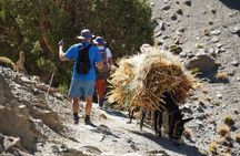 Summiting and Hiking the Atlas Mountains Day Trek from Marrakech