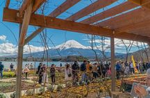 Private Guided Tour at Mount Fuji Majesty