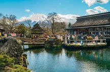 Private Guided Tour at Mount Fuji Majesty