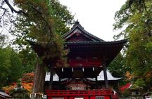Private Guided Tour at Mount Fuji Majesty