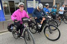 Napier: Shore Excursion Cycle Winery Tour - Half Day, self-guided