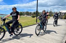 Napier: Shore Excursion Cycle Winery Tour - Half Day, self-guided