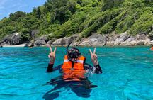 Lazy Similan Islands Marine Journey by Speedboat from Phuket 