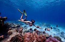 Lazy Similan Islands Marine Journey by Speedboat from Phuket 