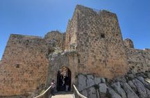 Full Day Jerash and Ajloun Private Guided Tour