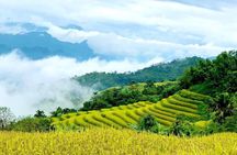 Sapa Half Day Trekking Y Linh Ho with Lao Chai and Ta Van