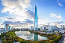 Seoul and Suburbs Private Customized Tour