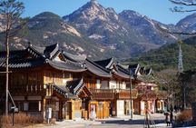 Seoul and Suburbs Private Customized Tour