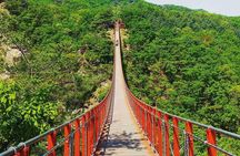 Seoul and Suburbs Private Customized Tour