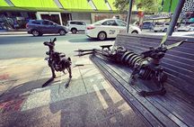 Brisbane City Walking Tour: local guide, small group, 100 mins