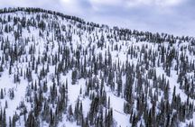 One Day Ski Tour Near Almaty