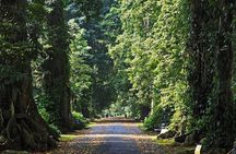 Bogor Botanical Garden & Rainforest Trekking to Hidden Waterfall