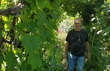 Hidden Gems Adventure in West Sonoma County