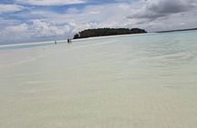 Mnemba Island Snorkeling and Swimming with Dolphin Full Day Trip