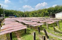Full-Day Private Bike Tour of the Cu Chi Tunnels with Lunch