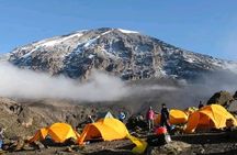 A 1-Day Kilimanjaro Hike on Machame Route with Hotel Pickup