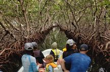 Roatan East Side Mangrove Tunnels and Snorkel Adventure