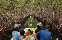 Roatan East Side Mangrove Tunnels and Snorkel Adventure