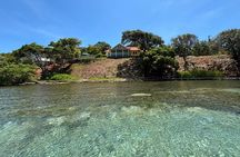 Roatan East Side Mangrove Tunnels and Snorkel Adventure