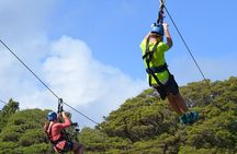Ziplining Adventure at Magalies (from Joburg)