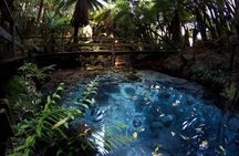 Rotorua Cultural & Geothermal Small Group Tour From Auckland