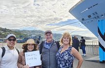 Spectacular Wellington: Full Day Private Sightseeing Tour