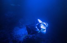 Snorkel With Giant Manta Rays In Kailua Kona