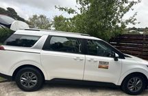 Coastal Connoisseur Wellington to Wairarapa Wine & Seal safari