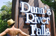 Blue Hole, Secret Falls, and Dunn's River Falls Combo Tour