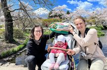 Mt Fuji and Hakone 1-Day Bus Tour Return by Bullet Train