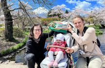 Mt Fuji and Hakone 1-Day Bus Tour Return by Bus