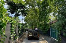 Explore Hanoi Secret Spots and Train Street